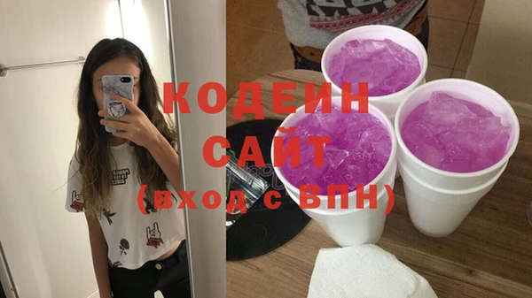 шишки Губаха