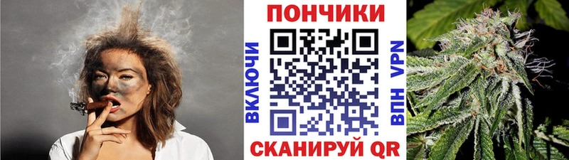 Конопля сатива закладка Тотьма